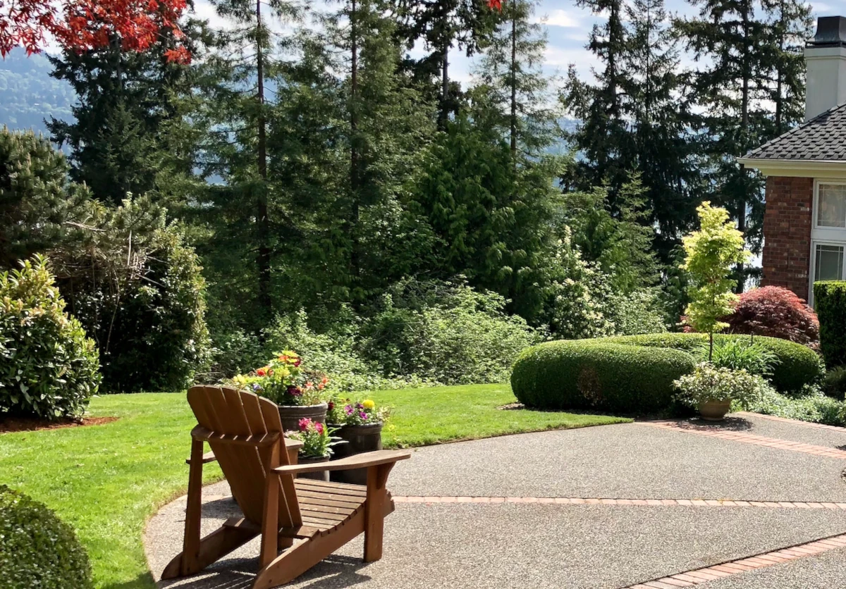 Full property yard cleanup before and after — Maple Valley